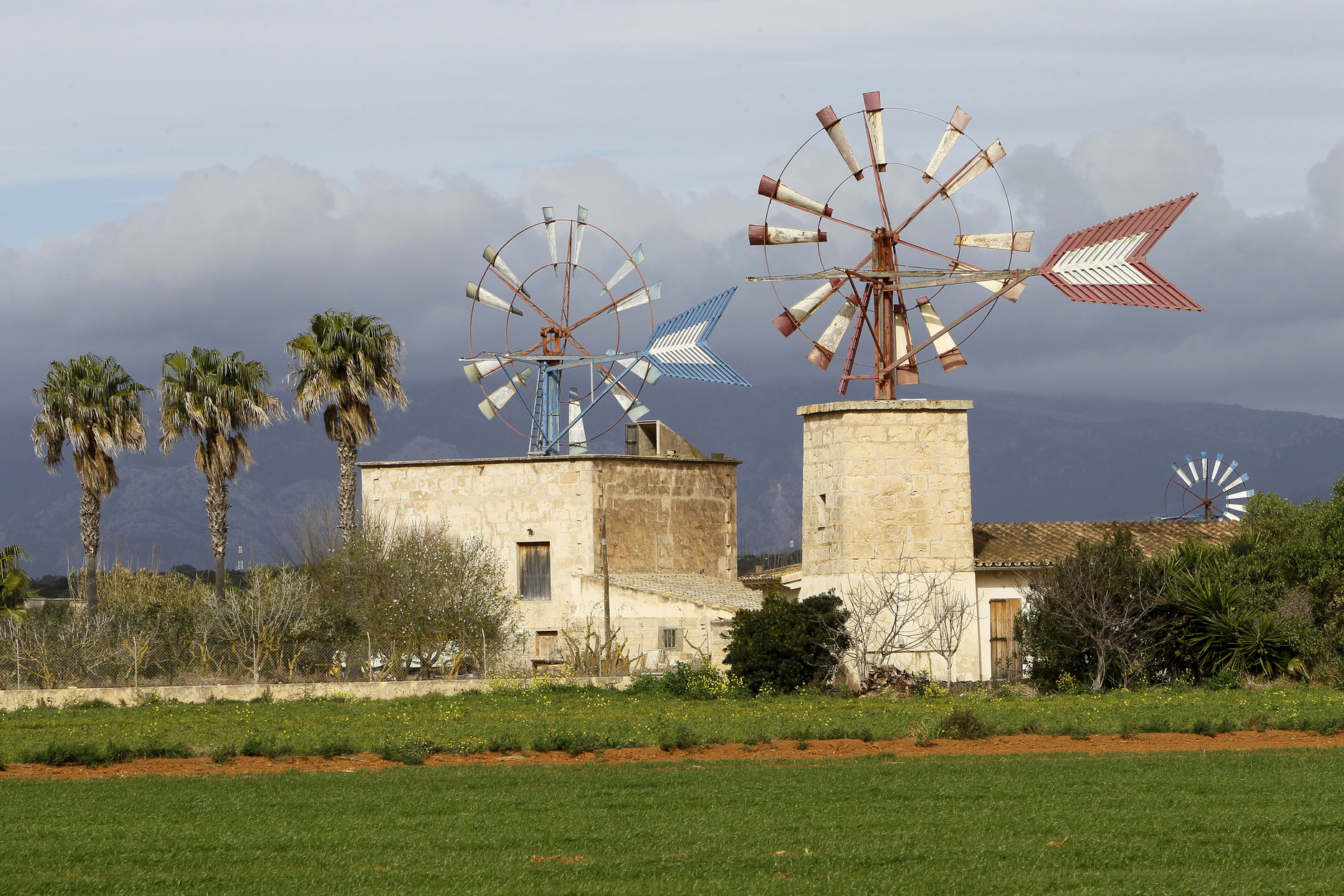 paisatgisme